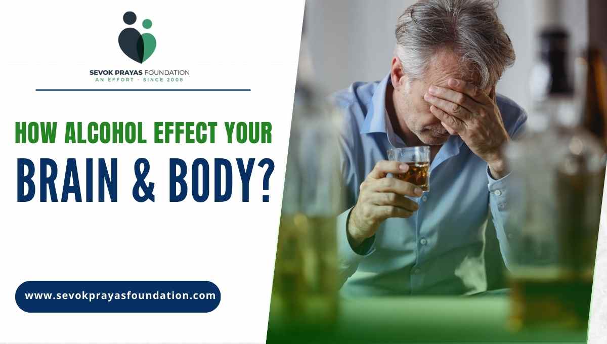 The Science Behind the Struggle: How Alcohol effect Your Brain and Body